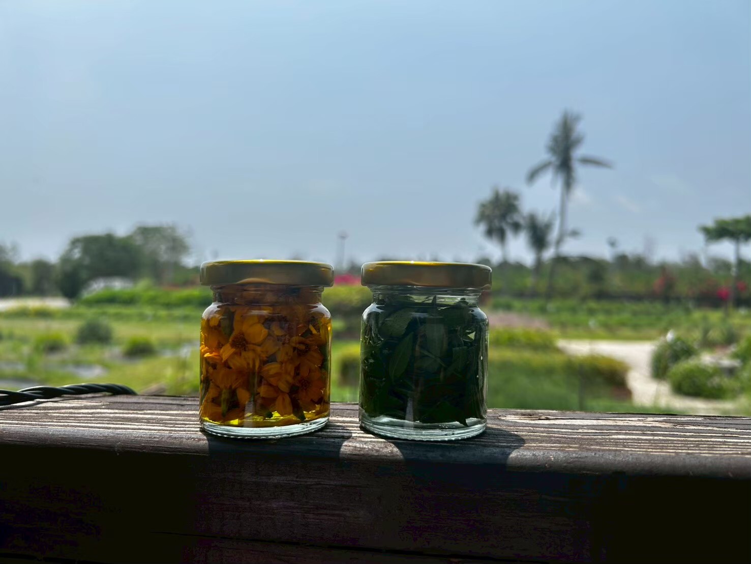 芳香成品分享